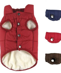 Winter Warm Coat for Dogs