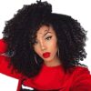 Afro kinky Curl Lace Front Wig