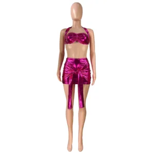 2 Piece Bra Crop Top & Elastic Skirt Set